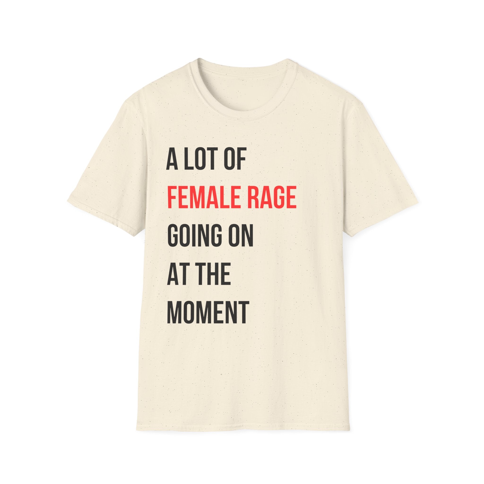 A Lot of Female Rage Going on at the Moment T-Shirt