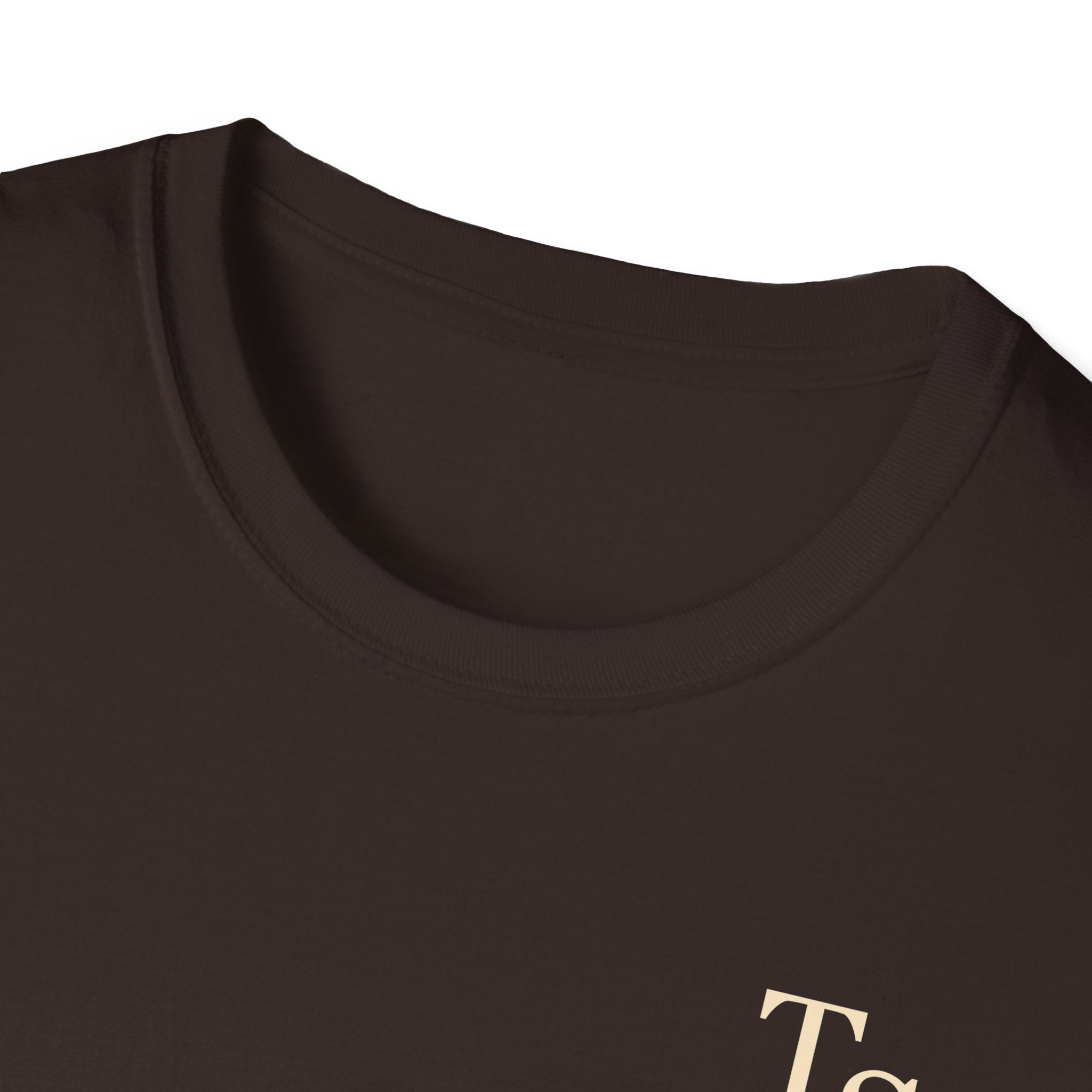 Surprise Song Eras Tour T-Shirt