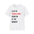 A Lot of Female Rage Going on at the Moment T-Shirt